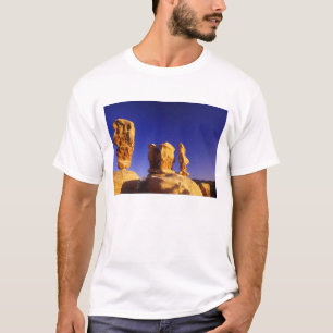 Camiseta Jardim dos Diabos no Grand Staircase Escalante 2