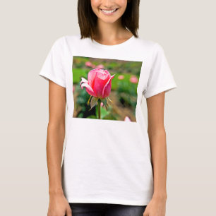 Camiseta Jardim Rosa Rosa Rosa Rosa Rosa Rosa