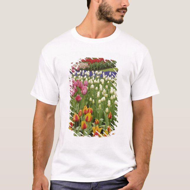 Camiseta Jardim Tulip e Hyacinth, Jardins Keukenhof, (Frente)