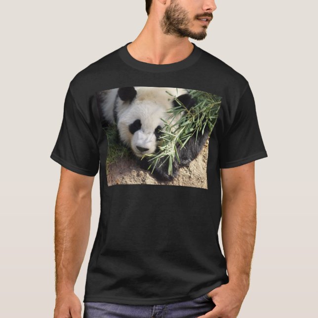 Camiseta Jardim zoológico Atlanta do urso de panda @ (Frente)
