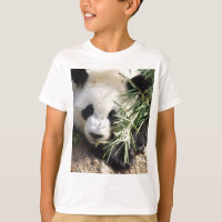 Jardim zoológico Atlanta do urso de panda @