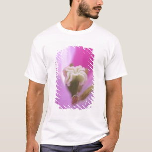 Camiseta Jardins Keukenhof, Holanda, especializa-se em 3