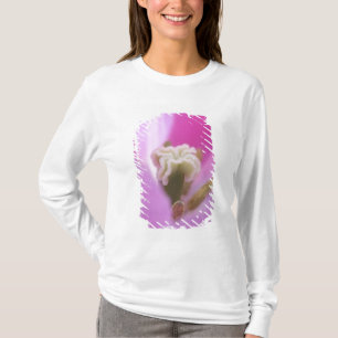 Camiseta Jardins Keukenhof, Holanda, especializa-se em 3