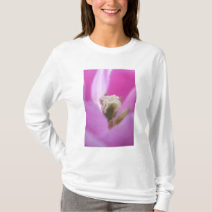 Camiseta Jardins Keukenhof, Holanda, especializa-se em 3
