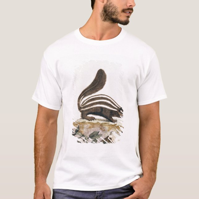 Camiseta Jaritataca, de "Histoire Naturelle" perto (Frente)
