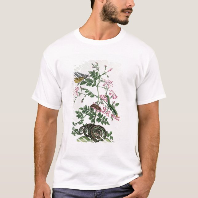 Camiseta Jasmim: com cobra, traça, caterpiller e chrysal (Frente)