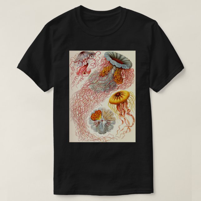 Camiseta Jellyfish Ernst Haeckel (Frente do Design)