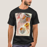 Jellyfish Ernst Haeckel