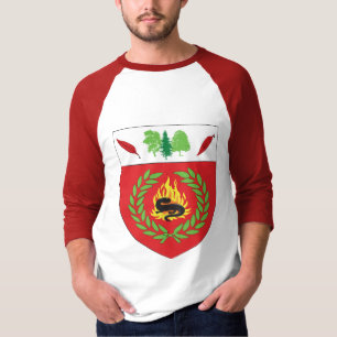 Camiseta jérsei do bhakail