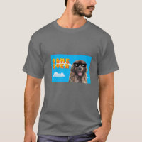 Jogo De 8 Bits Sobre Leonberger