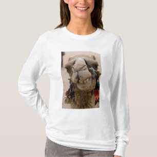 Camiseta Jordânia, antiga cidade nabateia de Petra