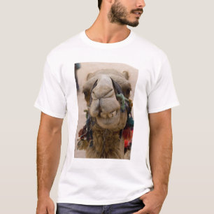 Camiseta Jordânia, antiga cidade nabateia de Petra. Local