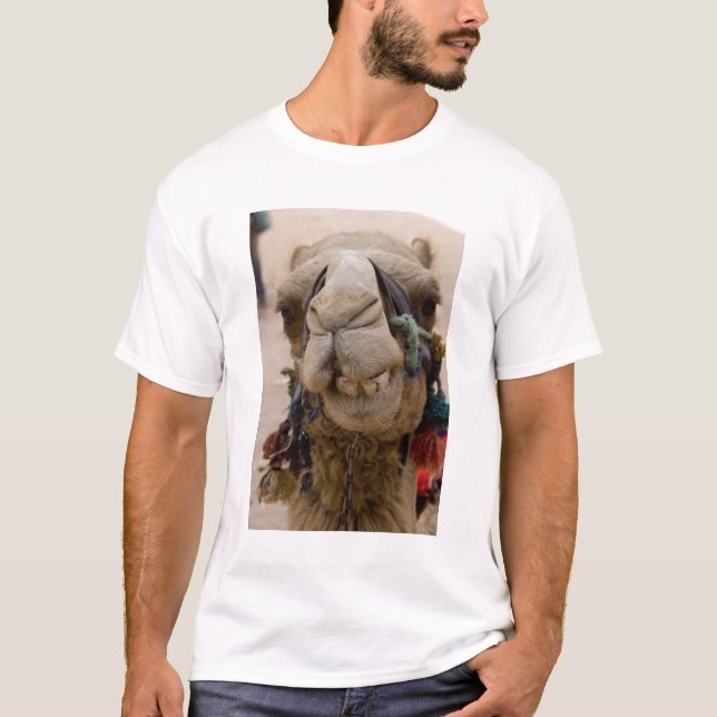 Camiseta Jordânia, antiga cidade nabatiana de Petra (Frente)