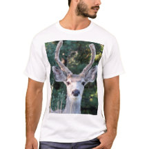 Jovem Buck Shirt