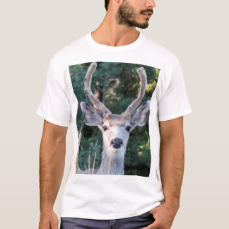 Camiseta Jovem Buck Shirt