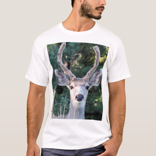 Camiseta Jovem Buck Shirt (Frente)