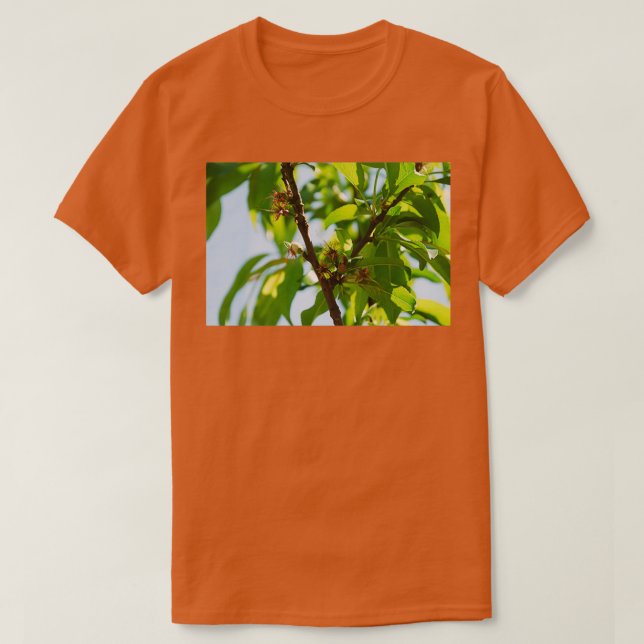 Camiseta Jovens Drogas de Amêndoa 1 (Frente do Design)