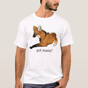 Camiseta Juba obtida?