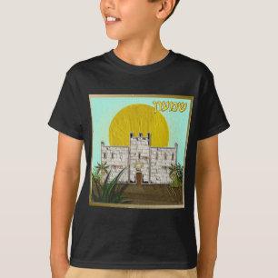 Camiseta Judaica 12 Tribos de Israel Simeão