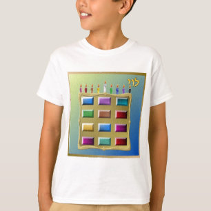Camiseta Judaica 12 Tribos Israel Levi