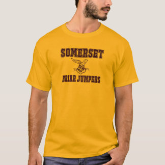 Camiseta Jumpers Briar Retroativo 1