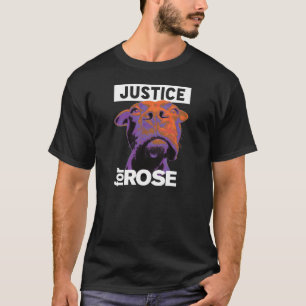 Camiseta Justiça 4 aumentou