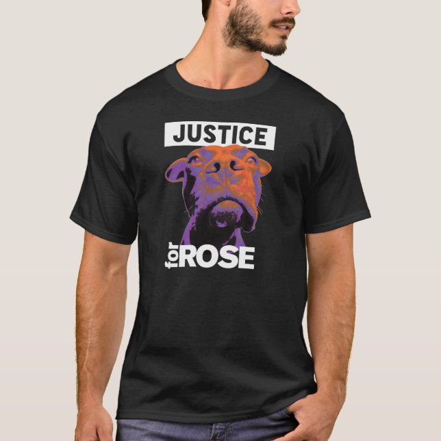 Camiseta Justiça 4 aumentou (Frente)
