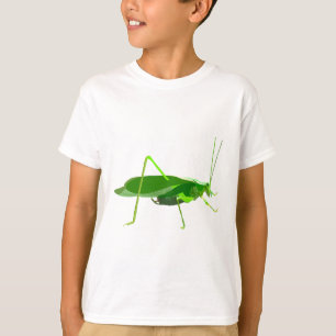 Camiseta K é para Katydid