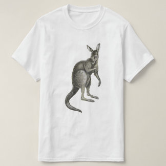 Camiseta Kangaroo Sketch Design Graphic Tee Shirt