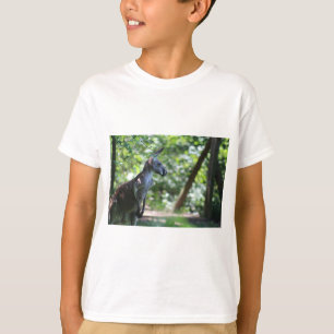 Camiseta Kangaroo T-Shirt