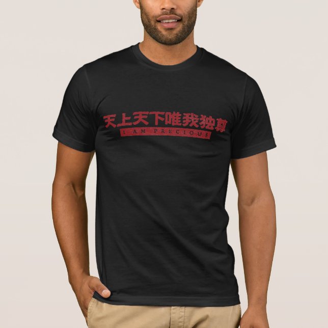 Camiseta kanji, i am precious (Frente)