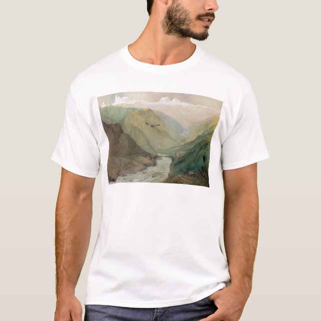 Camiseta Kashmir, c.1860 (Frente)