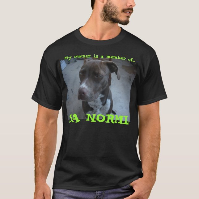 Camiseta Kashmir/T de Norml (Frente)