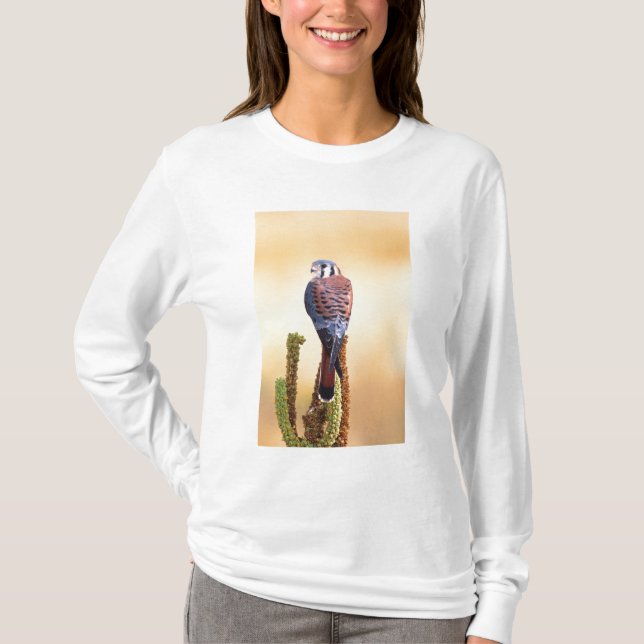 Camiseta Kestrel, Falco sparverius, Nativo para EUA e Canad (Frente)