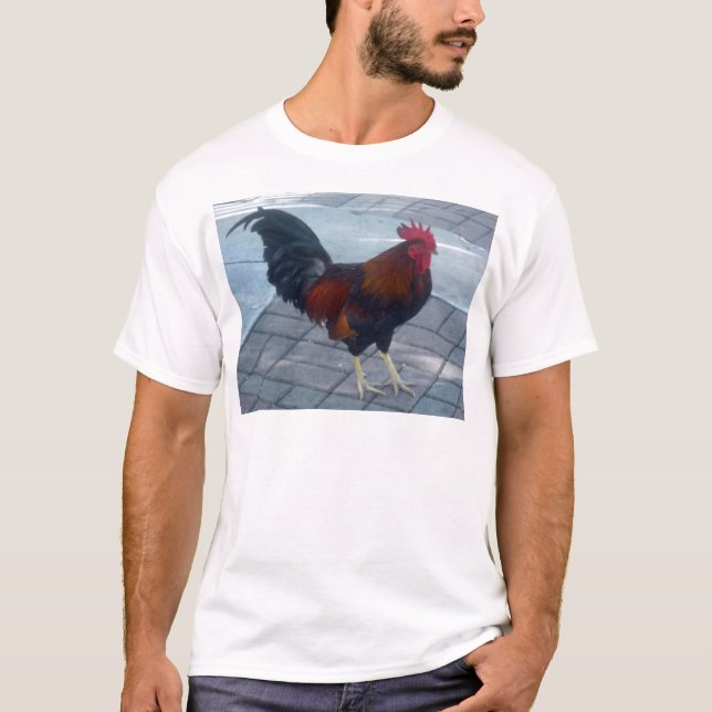 Camiseta Key West Rooster (Frente)