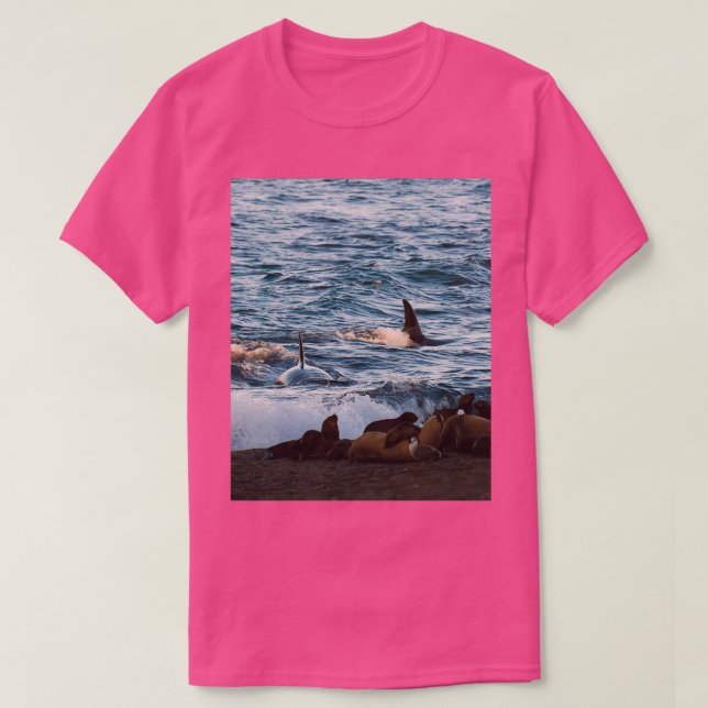 Camiseta Killer whale hunting seals on the beach (Frente do Design)