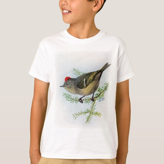 Camiseta Kinglet Rubi-coroado (Frente)