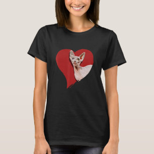 Camiseta Kitten Amor Coração Para Animal E Gato Fofo 2