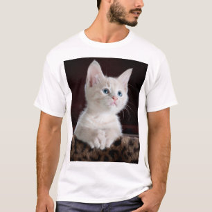 Camiseta Kitten Branco Vulnerável