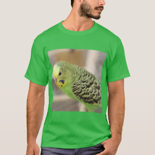 Camiseta Kiwi