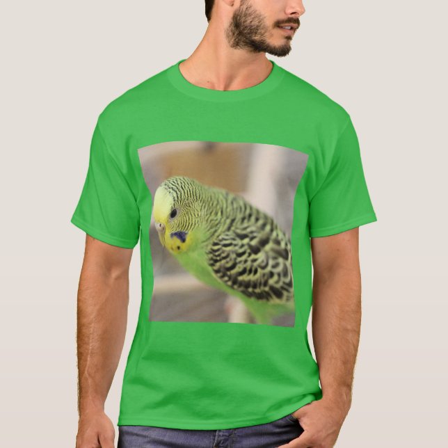 Camiseta Kiwi (Frente)