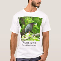 KK - Herão Verde