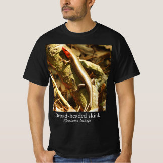 Camiseta Knature Knowledge Broad-Headed Skink