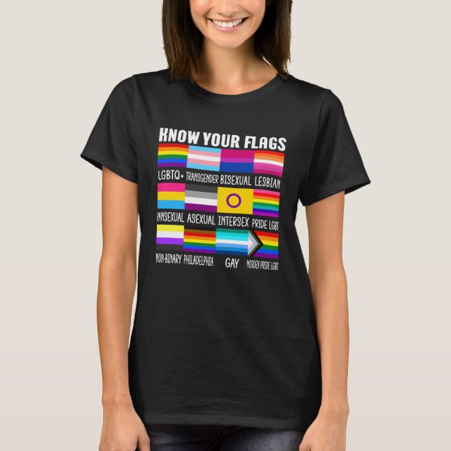 Camiseta Know Your Flags LGBTQ+ Gay Pride Flag Transgender  (Frente)