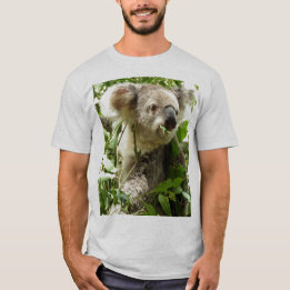 Camiseta Koala