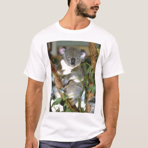 Camiseta koala2