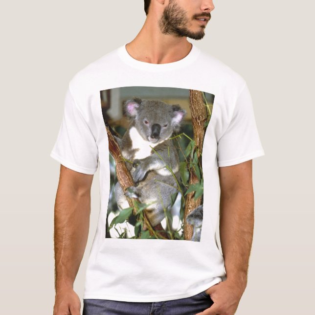 Camiseta koala2 (Frente)