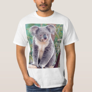 Camiseta Koala australiano