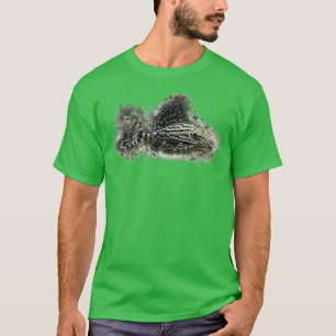 Camiseta L191 Linha Quebrada Pleco Panaque Real sp