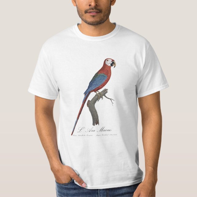 Camiseta L' Ara Macao / Red and green Macaw (Frente)